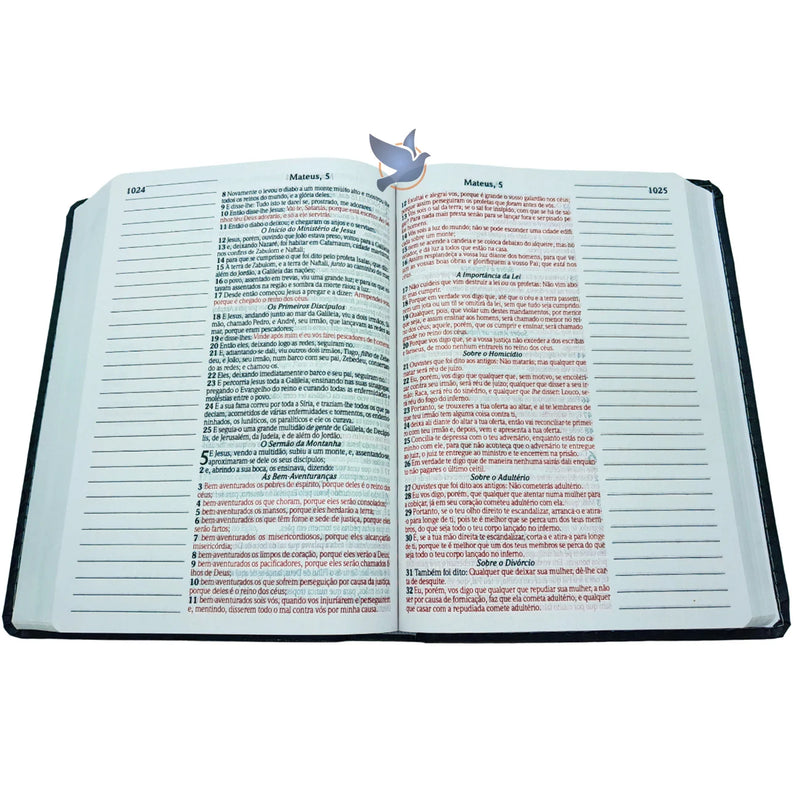 Bíblia Sagrada Com Pautas para Anotações Harpa | Preta